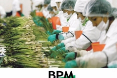buenas-practicas-de-manufactura-bpm_f